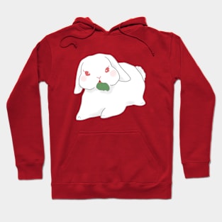 Rabbit and Vegie | Bunniesmee Hoodie